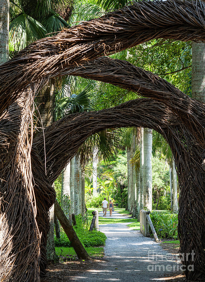 McKee Botanical Garden GRAND CENTRAL STICKWORK SCULPTURE Vero Beach Florida Photograph by Wayne Moran