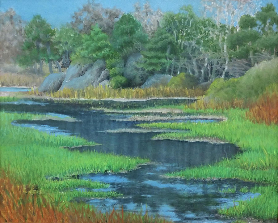 McKerricher Park Wetlands Painting by Dianawright Troxell
