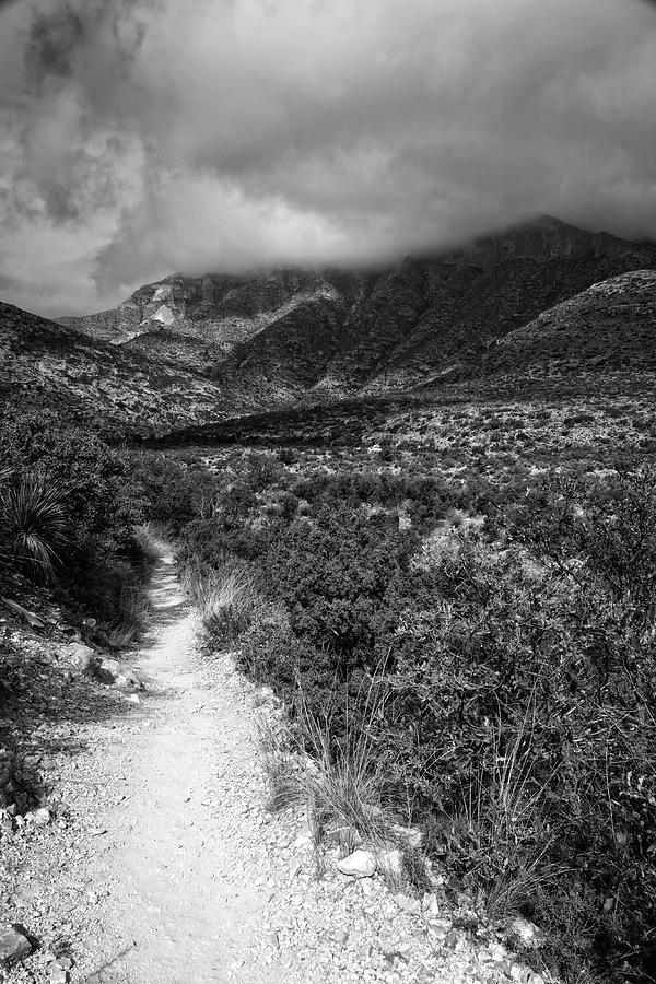 McKittrick Canyon Trail Photograph by George Taylor