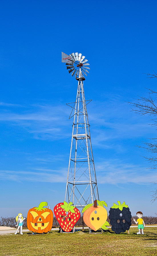 McLeod Windmill Photograph by Linda Brown