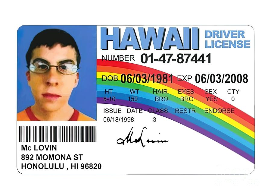 McLovin Superbad Painting by Davis Owen - Pixels