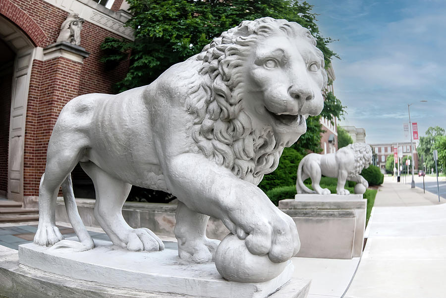 McMicken Hall Lion Photograph by Ed Taylor