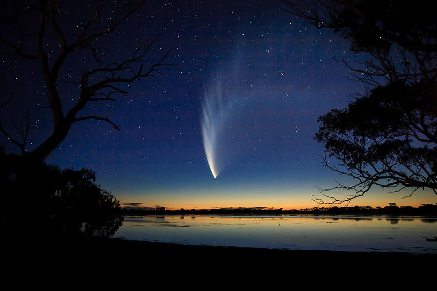 McNaughts Comet Photograph by John White Photos