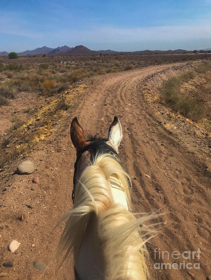 Me in Arizona on a Horse in the Desert Digital Art by Tammy Keyes ...