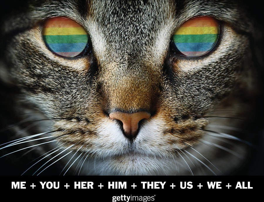 Pride Digital Art - Me You Her Him They Us We All by Mike Naglieri