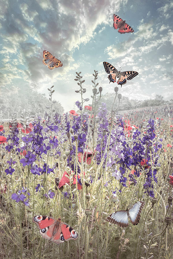 Meadow Butterflies in Spring Photograph by Debra and Dave Vanderlaan