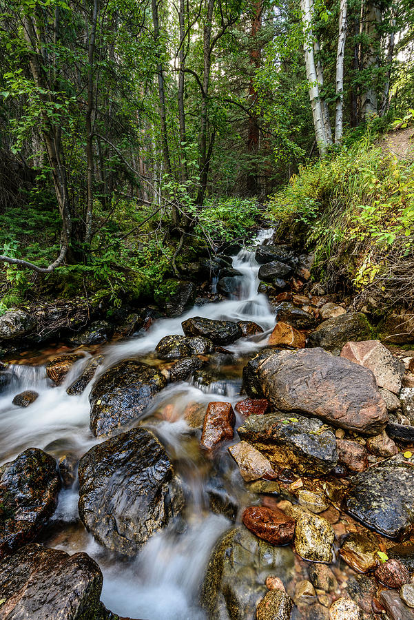 Meadow Creek Tumble vertical 2 Photograph by Steve Gandy - Fine Art America