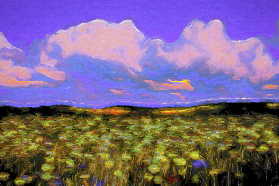 Meadow Digital Art