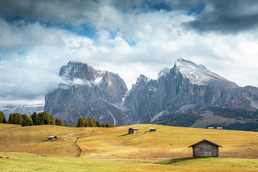 Meadow field and the Dolomiti rocky peaks Alpe di siusi Seiser Alm Italy Photograph by Michalakis Ppalis