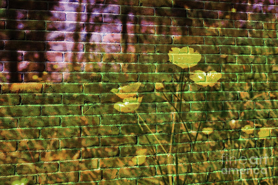 Meadow flowers on brick wall Photograph by Pics By Tony