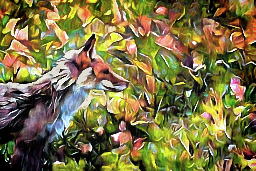Meadow Fox Painting by Susan Maxwell Schmidt