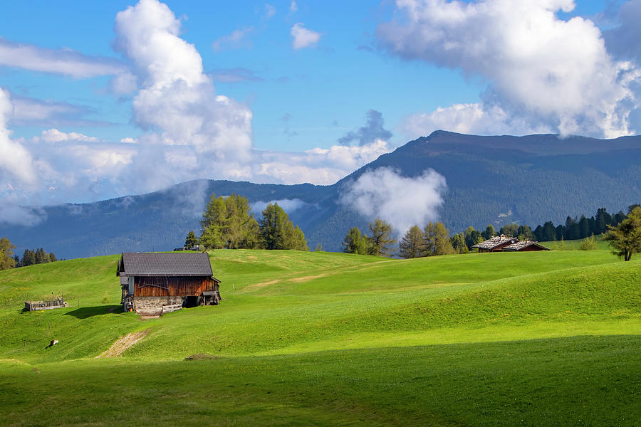 Meadow in Alpe di Siusi Photograph by Carolyn Derstine