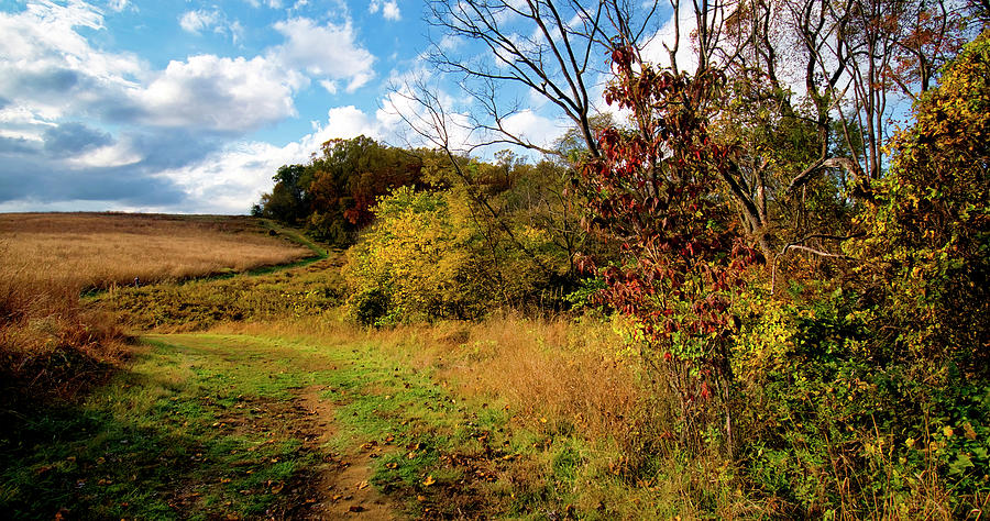 Meadow in Autumn, Montgomery County, Pennsylvania Photograph by A ...