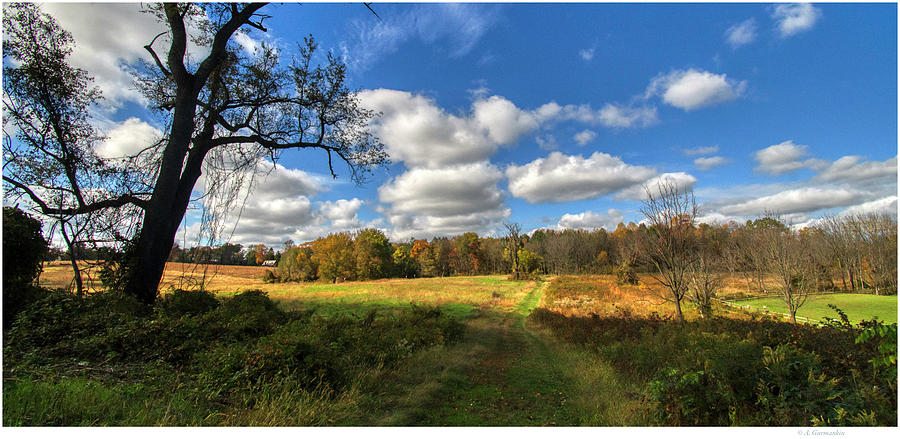 Meadow in Fall, Montgomery County, Pennsylvania Photograph by A ...