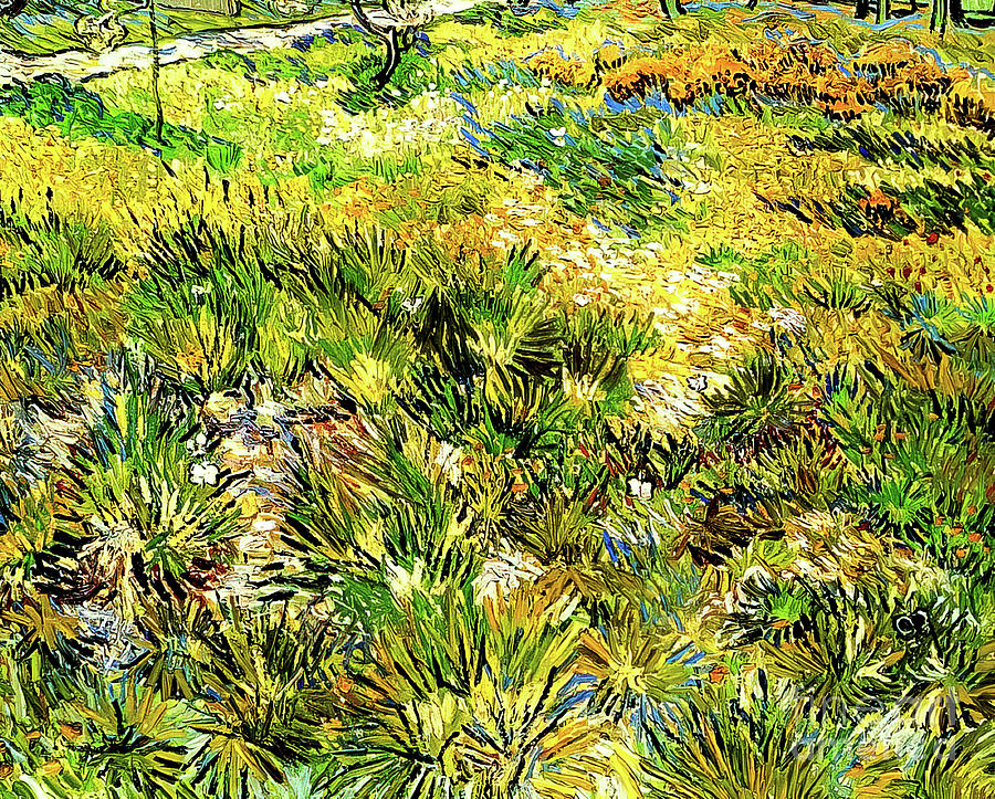 Meadow in the Garden of Saint Paul Hospital by Vincent Van Gogh  Painting by Vincent Van Gogh