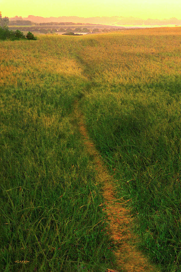 Meadow Path To The Sea D Photograph by Frank Wilson
