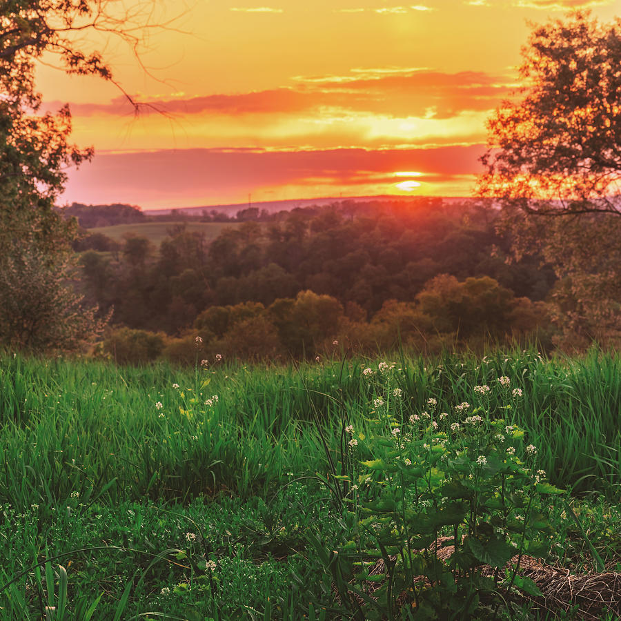 Meadow Sunset Photograph by Jason Fink