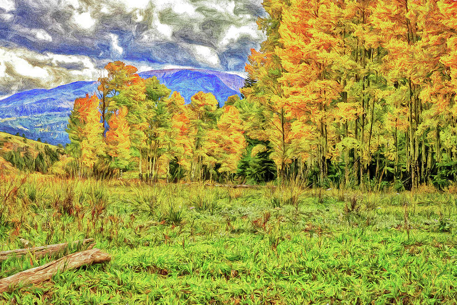 Meadow to Mountain-Digital Art Photograph by Steve Templeton
