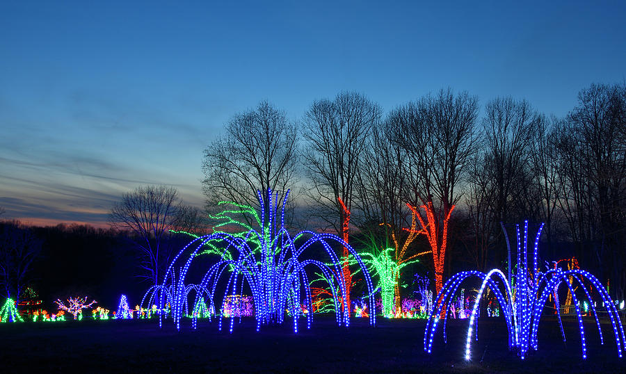 Meadowlark Botanical Gardens - Winter Walk of Lights in Vienna, VA Photograph by Brendan Reals