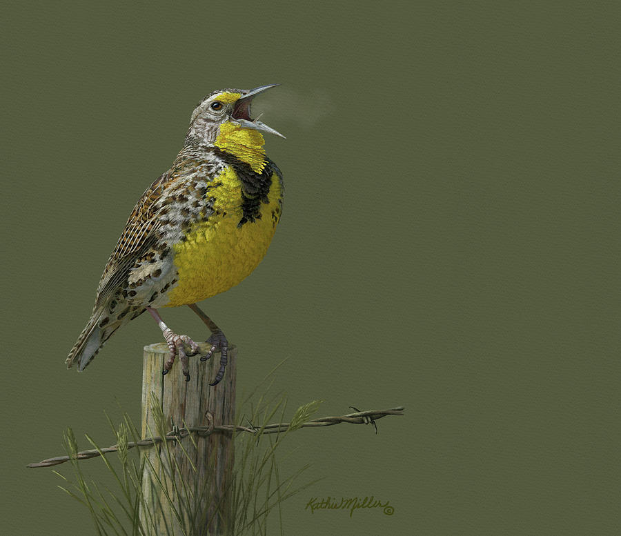 Meadowlark Digital Art by Kathie Miller