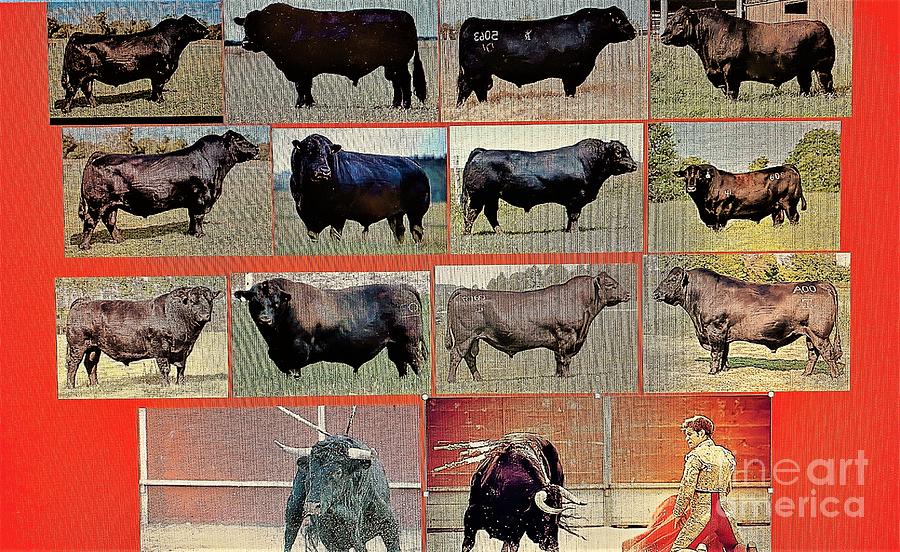 Mean Black Bulls and a Matador Mixed Media by Richard W Linford