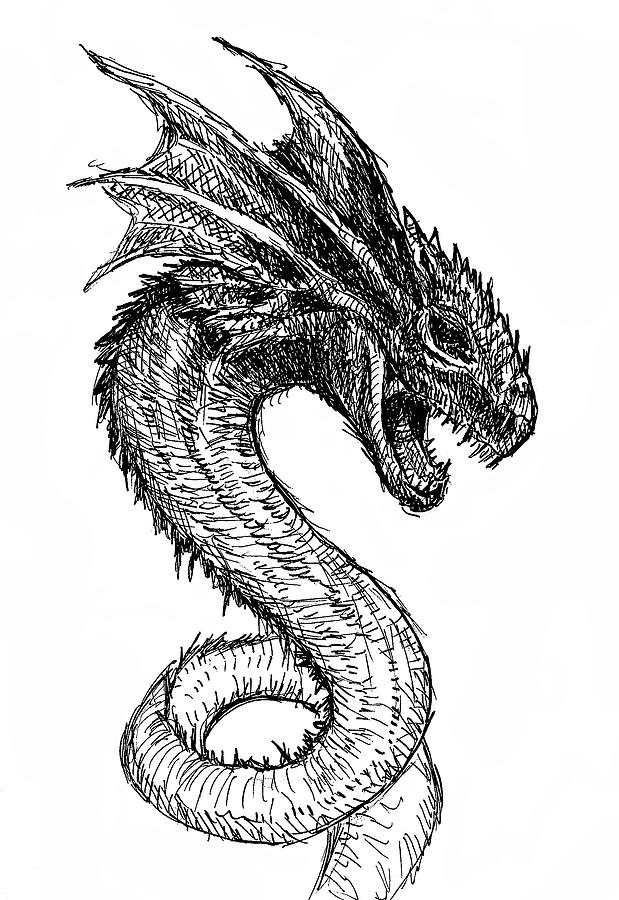 Free Dragon Drawing, Download Free Dragon Drawing png images, Free ClipArts  on Clipart Library
