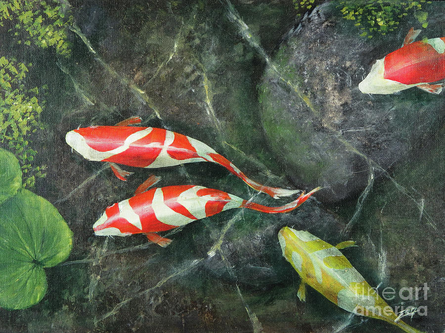 Meandering Koi Over Stones Painting by Zan Savage