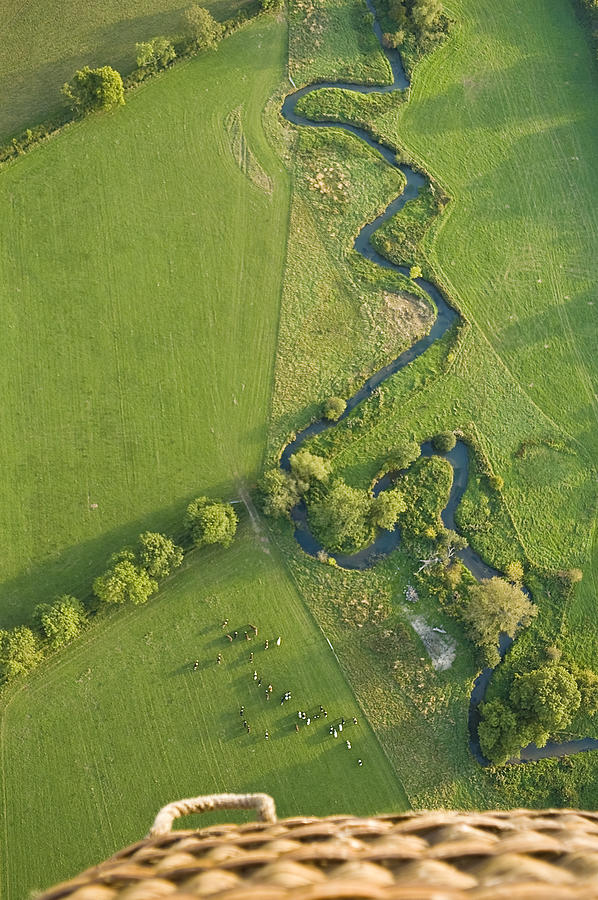 Meandering river, cattle, balloon Photograph by fotoVoyager