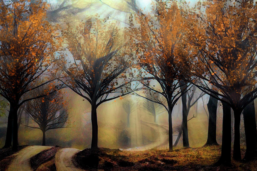 Meandering Through the Forest at Dawn Abstract Painting Digital Art by Debra and Dave Vanderlaan