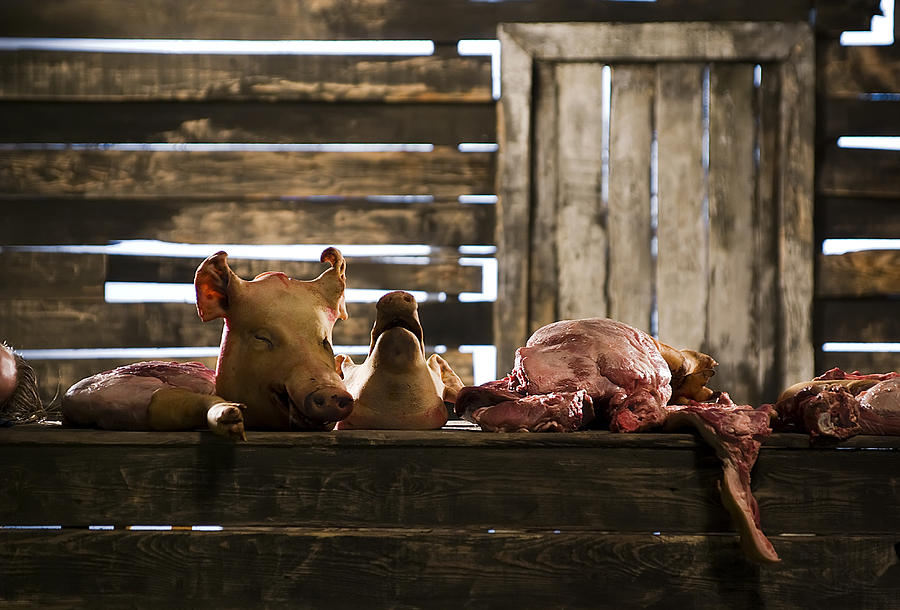 Meat pieces on a table in a slaughterhouse, Kiev, Ukraine Photograph by WIN-Initiative/Neleman