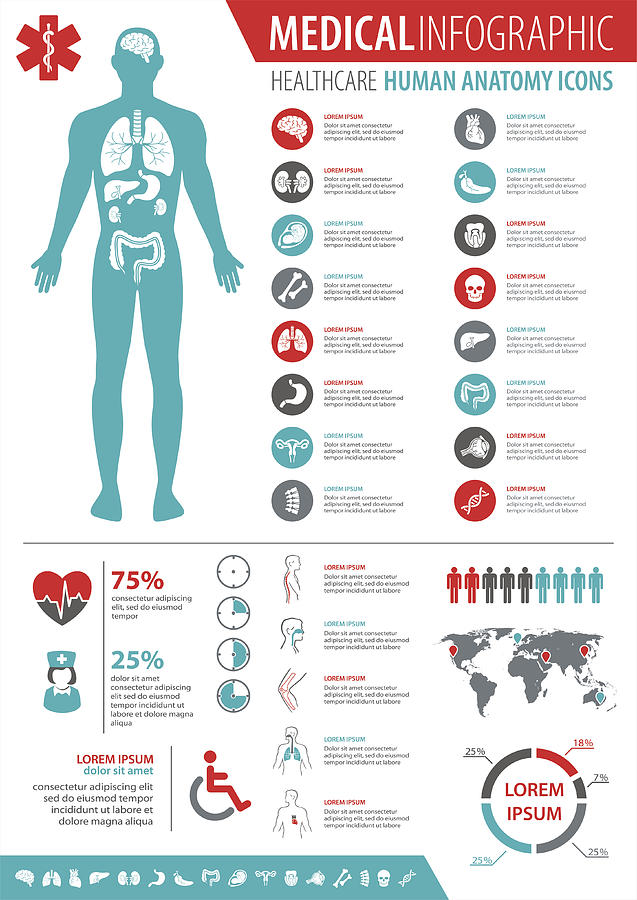 Medical Infographic Drawing by Pop_jop