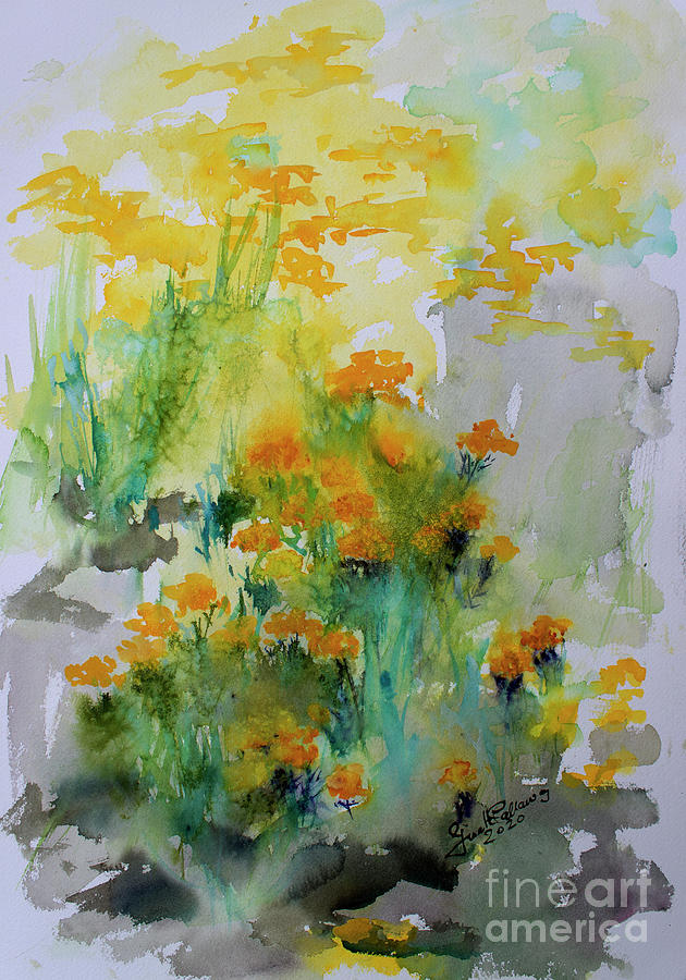 Medicinal Plants Helichrysum Watercolors Painting by Ginette Callaway