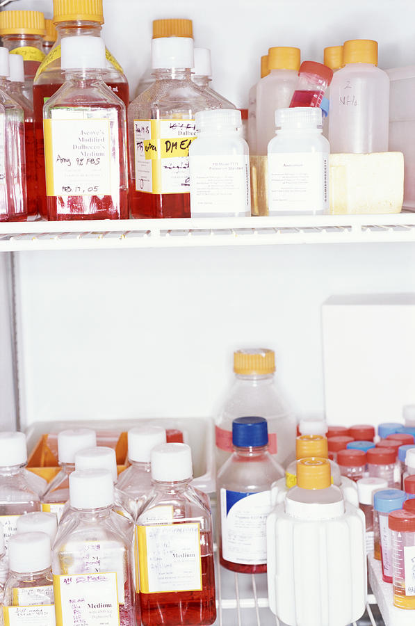 Medicine Containers Stored in a Fridge Photograph by Noel Hendrickson