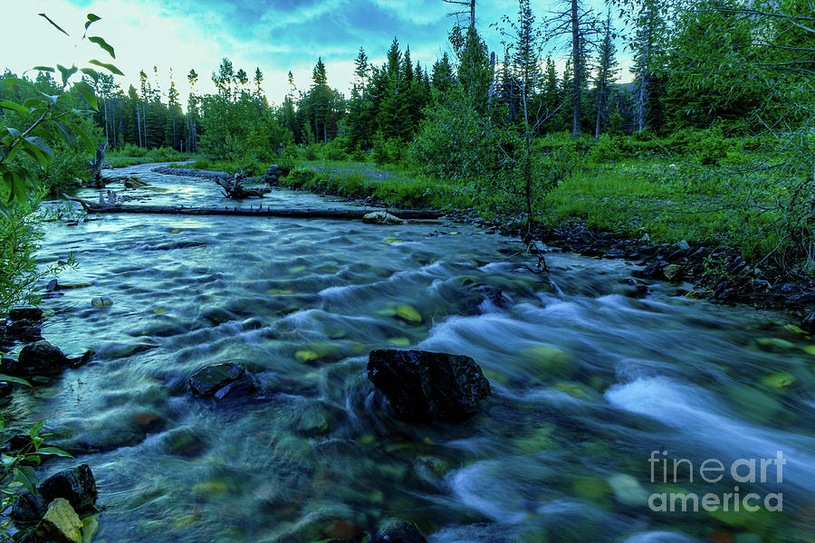 Glacier National Park Photograph - Medicine river  by Jeff Swan