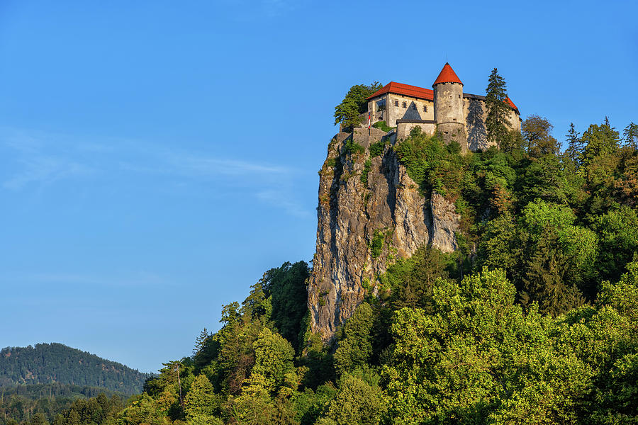 Romanesque Photograph - Medieval Bled Castle On Rock by Artur Bogacki