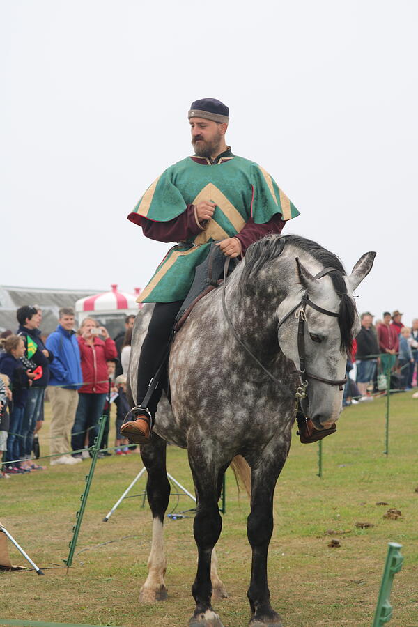 Medieval Knight Pendennis Castle Photograph