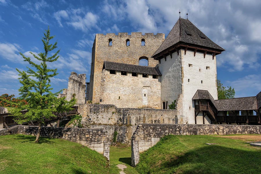 Medieval Old Castle Of Celje In Slovenia Photograph by Artur Bogacki ...