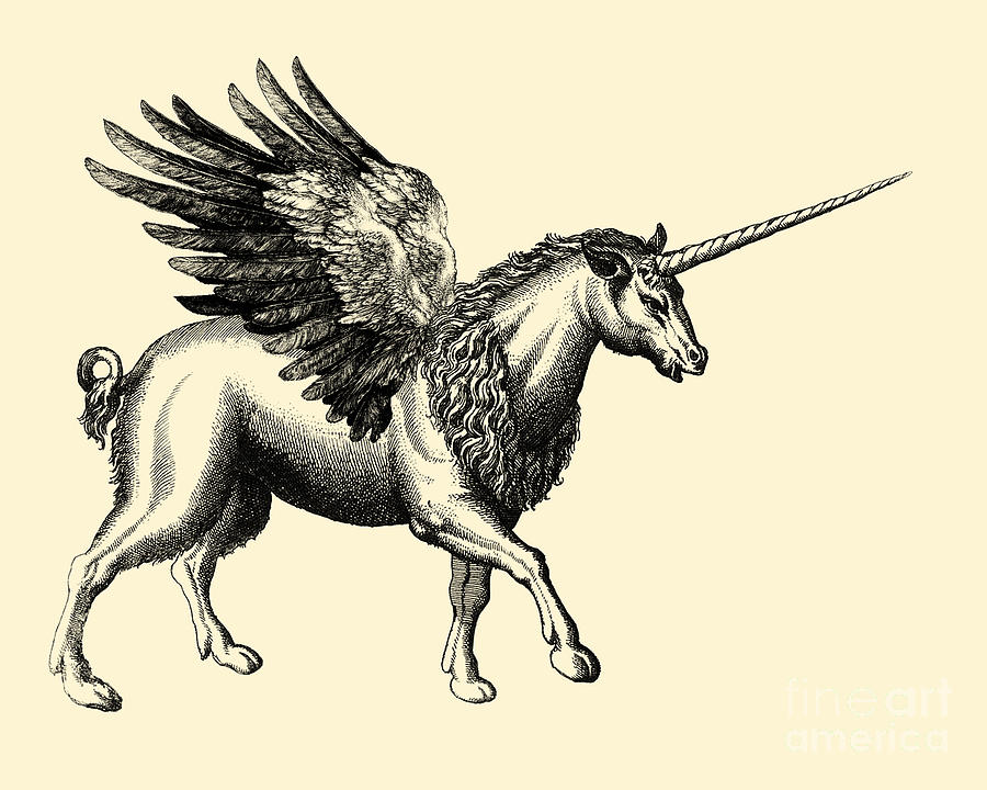 Greek Digital Art - Medieval Pegasus by Madame Memento