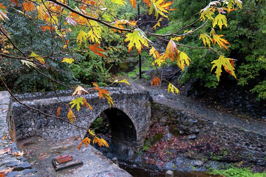 Medieval stoned bridge water flowing in the river in autumn. Photograph by Michalakis Ppalis