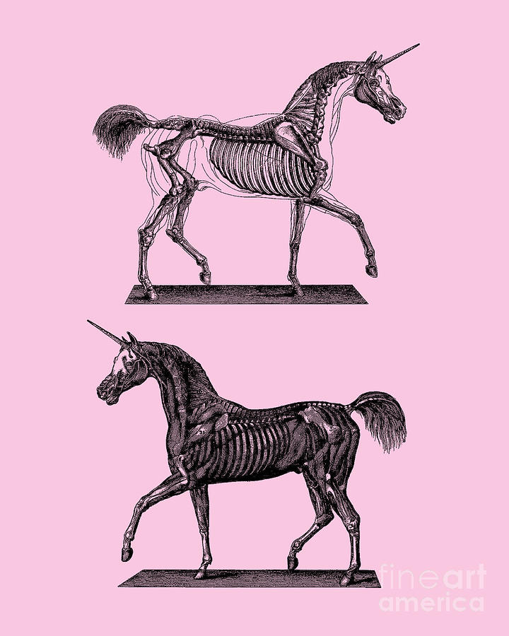 Unicorn Digital Art - Medieval Unicorns by Madame Memento