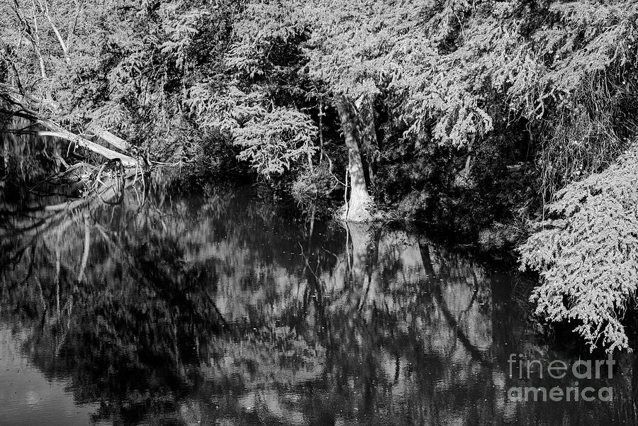 Medina River Reflections 2 Photograph by Bob Phillips