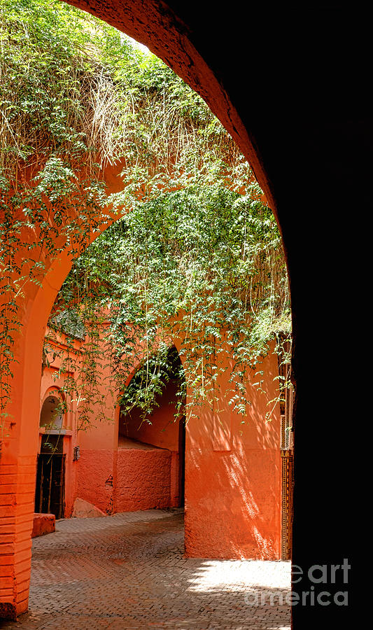 Medina Street in Marrakech Photograph by Olivier Le Queinec