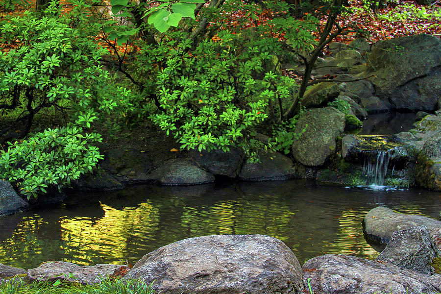 Meditation pond Photograph by Bonnie Follett