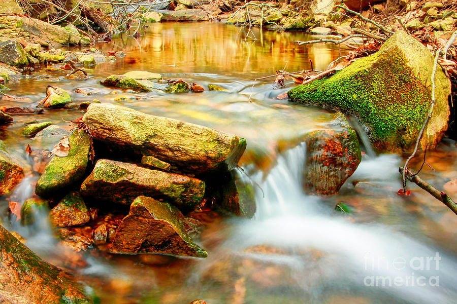 Meditation View of Great Smoky Mountains National Park - Stream Waterfall Running Water Photograph by Stefano Senise
