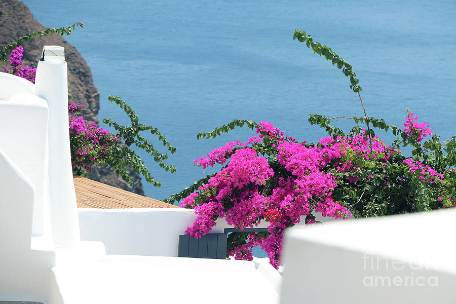 Mediterranean Beautiful Colors Photograph by Christiane Schulze Art And Photography