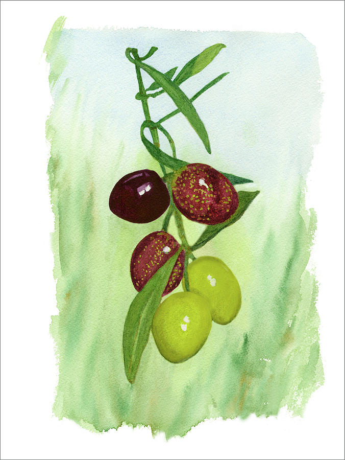 Mediterranean Olives On The Vine Painting by Deborah League