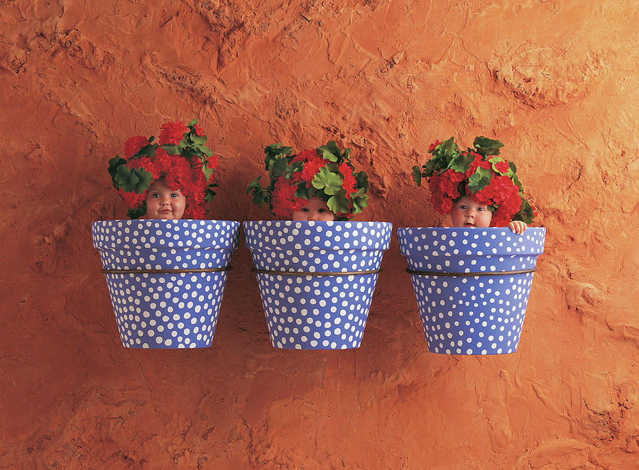 Color Photograph - Mediterranean Pots by Anne Geddes