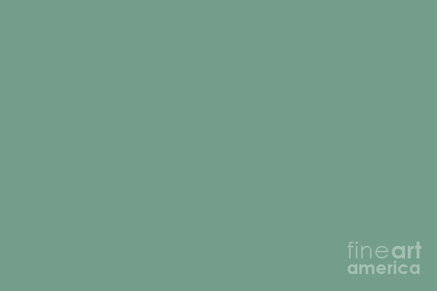 Medium Green Solid Color Pantone Malachite Green 16-5917 TCX Shades of ...