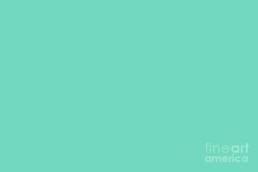 Medium Turquoise Solid Color Pantone Cockatoo Tcx Shades Of