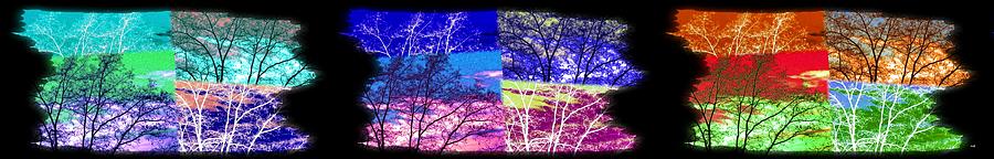 Medley Of Trees Triptych Digital Art by Will Borden